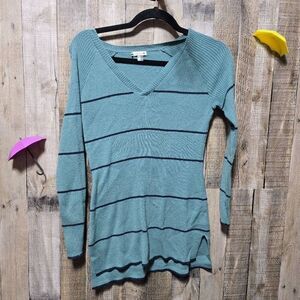 Smartwool Wool Blend Blue Striped V Neck Turtleneck Sweater Women's